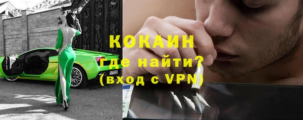 гашик Алексин