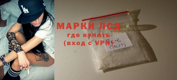 гашик Алексин