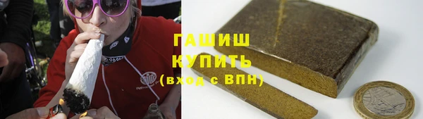 гашик Алексин