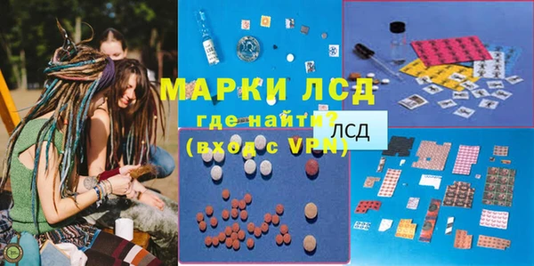 гашик Алексин