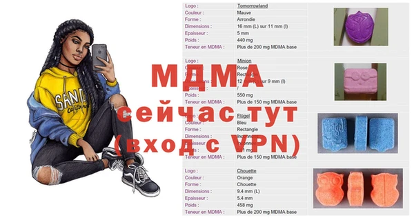 гашик Алексин