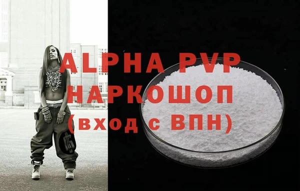 гашик Алексин