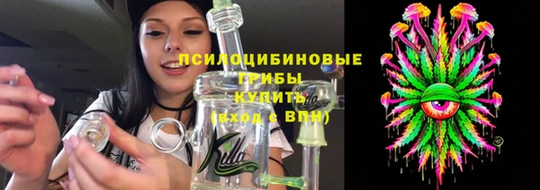 твердый Алексеевка